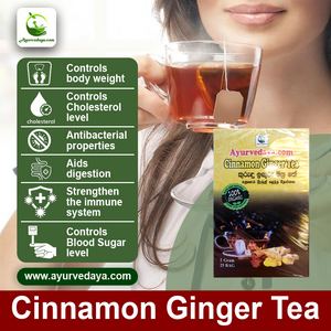 Cinnamon Ginger Tea