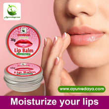 Load image into Gallery viewer, Ayurvedic Lip Balm