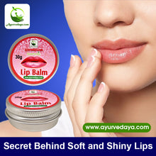 Load image into Gallery viewer, Ayurvedic Lip Balm