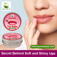 Load image into Gallery viewer, Ayurvedic Lip Balm
